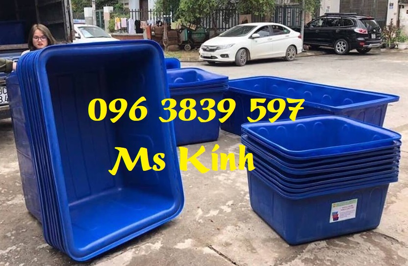 Thùng nhựa nuôi cá 300 lít, tank nhựa chữ nhật giá rẻ - 096 3839 597 Ms Kính