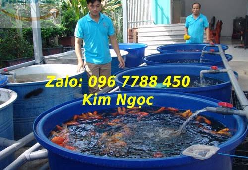 Bồn nhựa tròn nuôi cá cảnh 2000 lít LHe 0967788450 Ms Ngọc