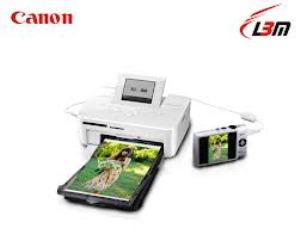 Máy in ảnh canon selphy cp810 