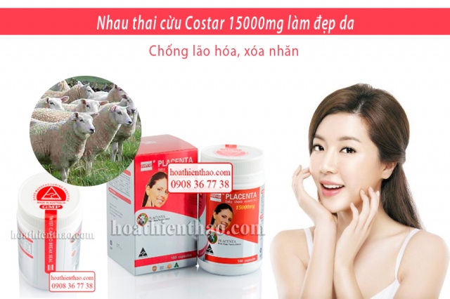 Bí mật làm đẹp nằm trong Nhau Thai Cừu