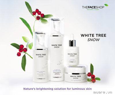 Bộ sản phẩm White Tree Snow The Face Shop 