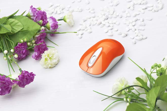 Chuột không dây Newmen F262