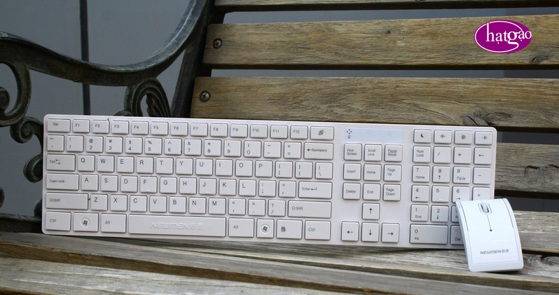 Bộ phím, chuột không dây Newmen Dance Party R300