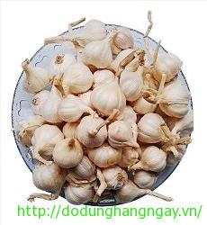 Tỏi Lý Sơn (Túi 1Kg)