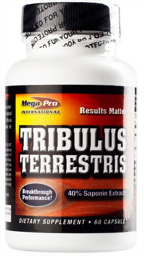 Tribulus -Tăng cường sinh lực