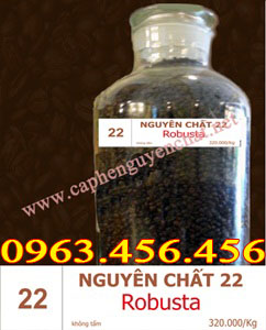 (Robusta) không tẩm