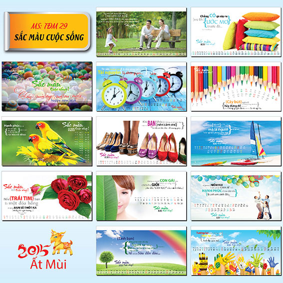 29) Sắc màu cuộc sống