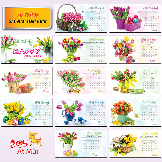 36) Sắc màu tinh khôi