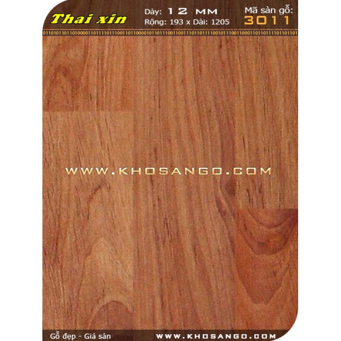 Sàn gỗ Thaixin 3011 12mm