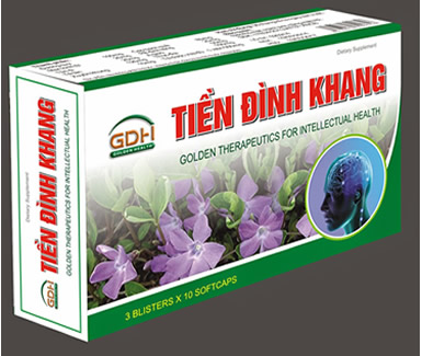 GDH TIỀN ĐÌNH KHANG