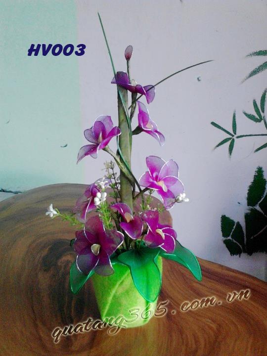 Hoa vải voan - HV003