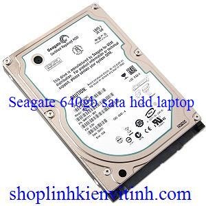 HDD SEAGATE 640GB