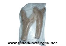 Nhung Hươu tươi