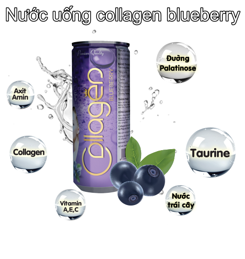 Nước uống collagen blueberry