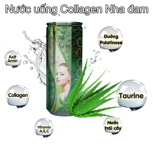 Nước uống Collagen Nha đam