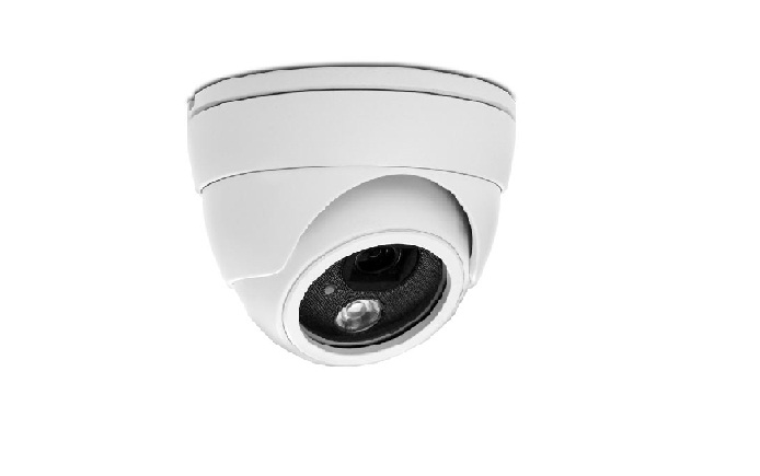 Camera IP Dome AVTECH AVN420P