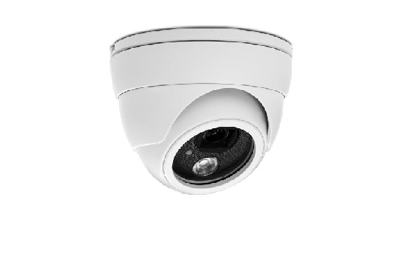 Camera IP Dome AVTECH AVN320P