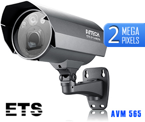 Camera IP thân hồng ngoại AVTECH AVM561P