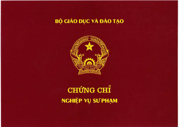 Đào tạo nghiệp vụ sư phạm đại học, cao đẳng