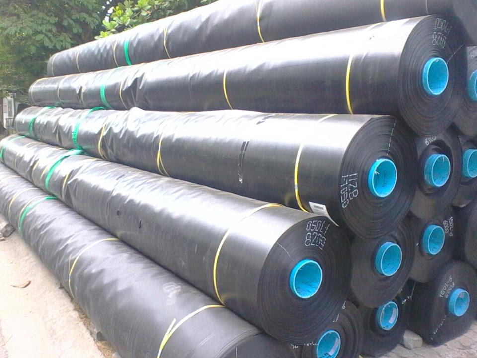 Bán màng chống thấm HDPE giá tốt