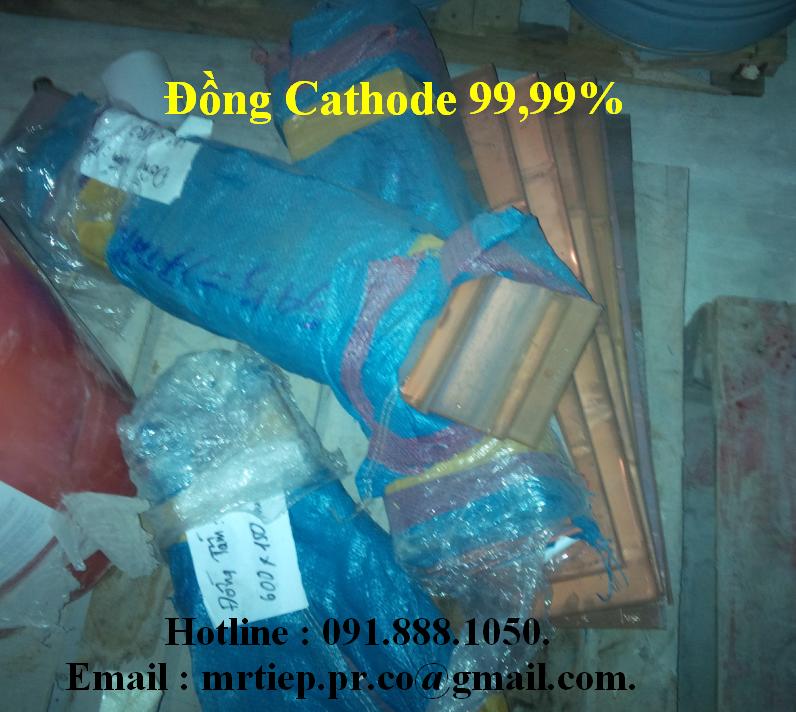 Đồng Cathode 99,99%, đồng catot 99,99%