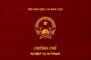 Đào tạo nghiệp vụ sư phạm cấp tốc