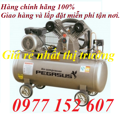 MÁY NÉN KHÍ PEGASUS TM- V-0.17/8, chạy dầu.