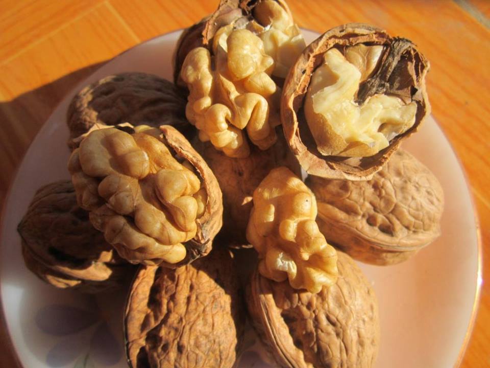 Walnut - quả Óc chó Hartley Califonia