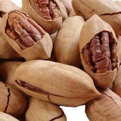 PECAN NUT - Qủa hồ đào nứt  ( còn gọi là quả óc chó dài )