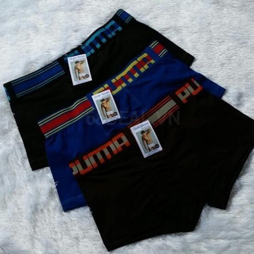 COMBO 3 QUẦN LÓT NAM DQL-912