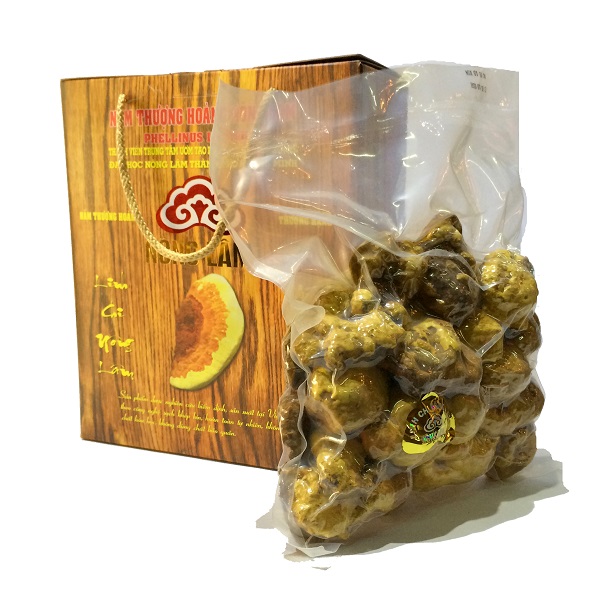 Nấm Thượng Hoàng 500g