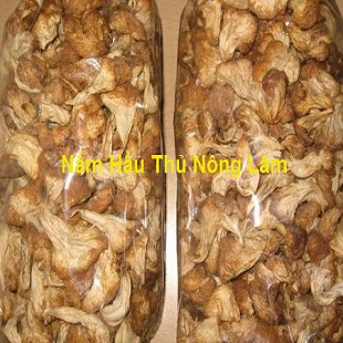 Nấm Hầu Thủ Nông Lâm 500g