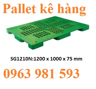 Pallet nhựa 02