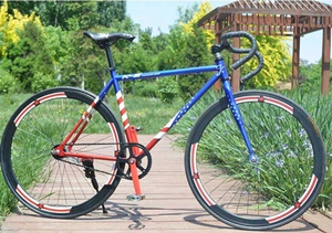 Fixed Gear Mầu 3D