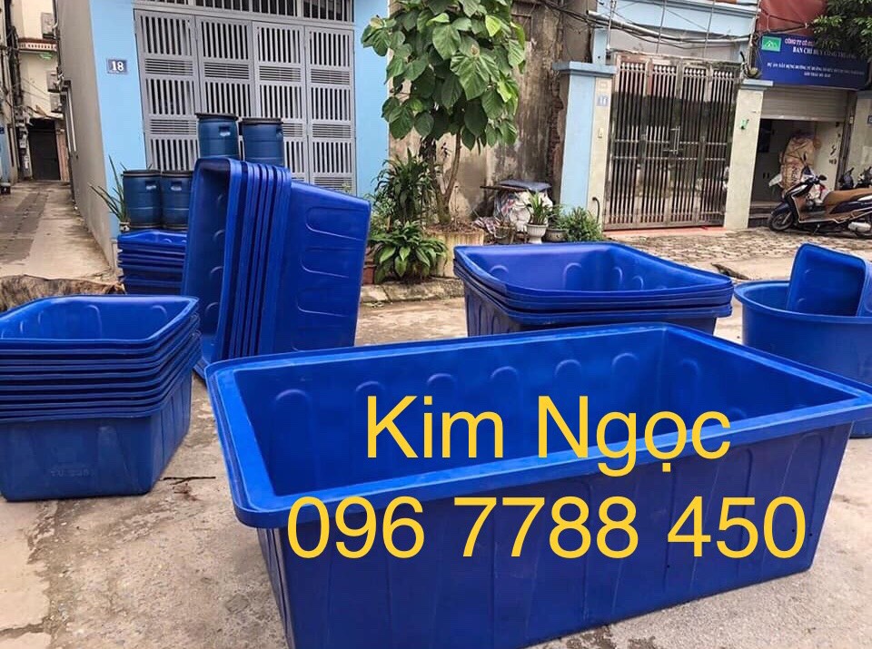 Nơi bán thùng nhựa nuôi cấ 1100 lít tại quận 2, tp hồ chí minh - 0967788450 Ngọc