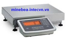 Cân sàn điện tử 3 kg đến 3000 kg