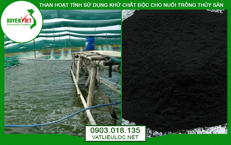 Than hoạt tính khử chất độc ao nuôi thủy sản 