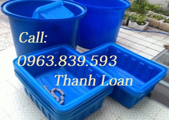 Thùng chữ nhật 300L 1 lớp nuôi cá cảnh