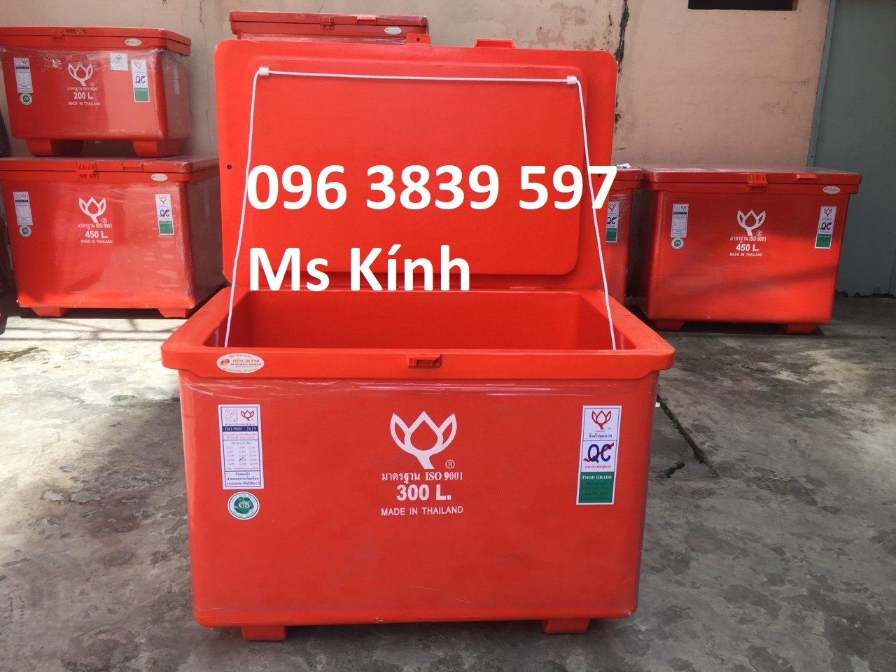 Thùng giữ lạnh Thái Lan 300 lít, thùng đá Thái Lan giá tốt - 096 3839 597 Ms Kính