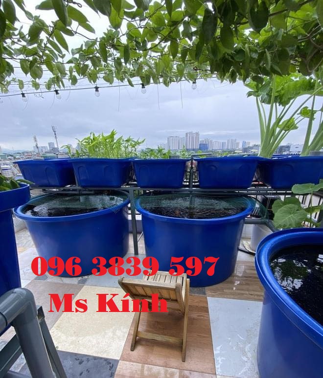 Thùng nhựa tròn nuôi cá, chậu nhựa trồng cây, đựng hóa chất - 096 3839 597 Ms Kính